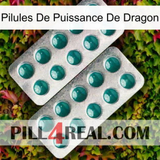 Dragon Power Pills dapoxetine2